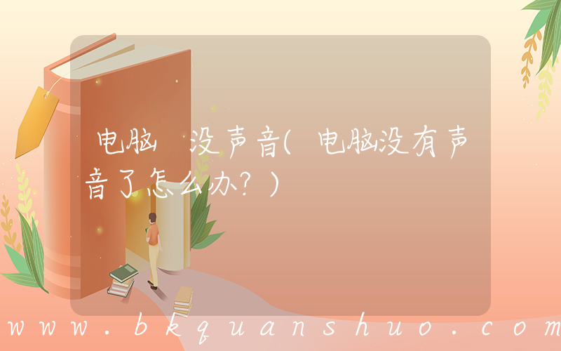 电脑 没声音(电脑没有声音了怎么办？)